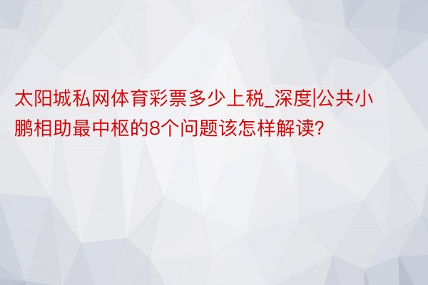 太阳城私网体育彩票多少上税_深度|公共小鹏相助最中枢的8个问题该怎样解读？