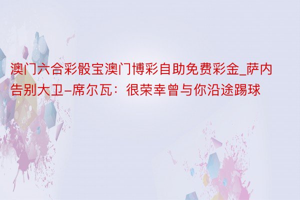 澳门六合彩骰宝澳门博彩自助免费彩金_萨内告别大卫-席尔瓦：很荣幸曾与你沿途踢球
