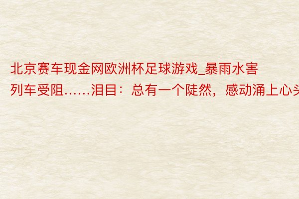 北京赛车现金网欧洲杯足球游戏_暴雨水害列车受阻……泪目：总有一个陡然，感动涌上心头