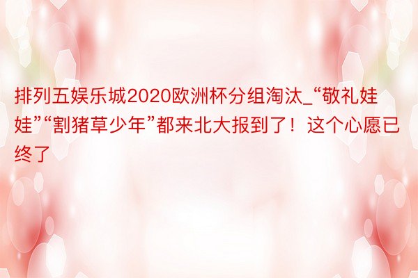 排列五娱乐城2020欧洲杯分组淘汰_“敬礼娃娃”“割猪草少年”都来北大报到了！这个心愿已终了