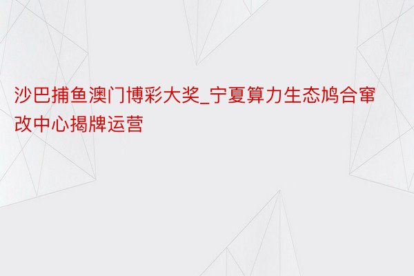 沙巴捕鱼澳门博彩大奖_宁夏算力生态鸠合窜改中心揭牌运营