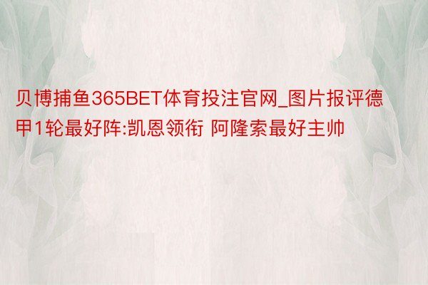 贝博捕鱼365BET体育投注官网_图片报评德甲1轮最好阵:凯恩领衔 阿隆索最好主帅